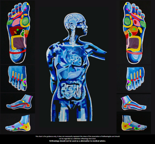 Reflexology foot chart